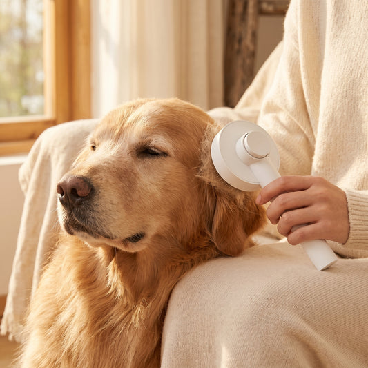 OOGABrush — Self-Cleaning Grooming Brush