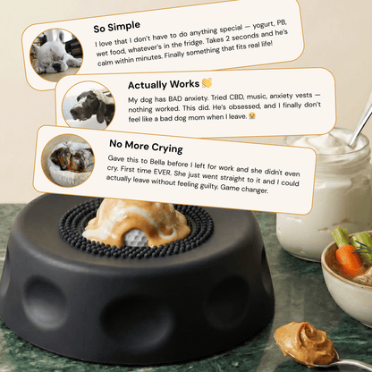Calming Bowl with Lick-Pacing Technology™